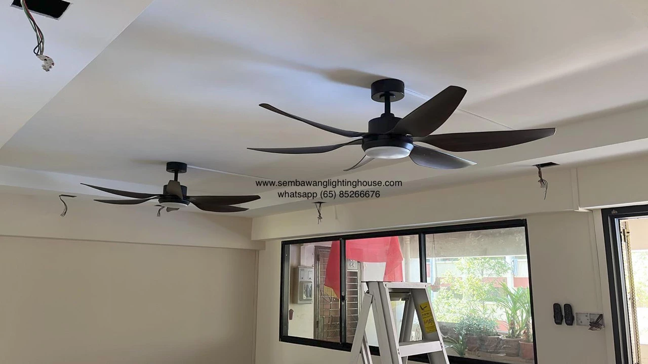 FARO BARCELONA Soldes -FARO BARCELONA Soldes 00